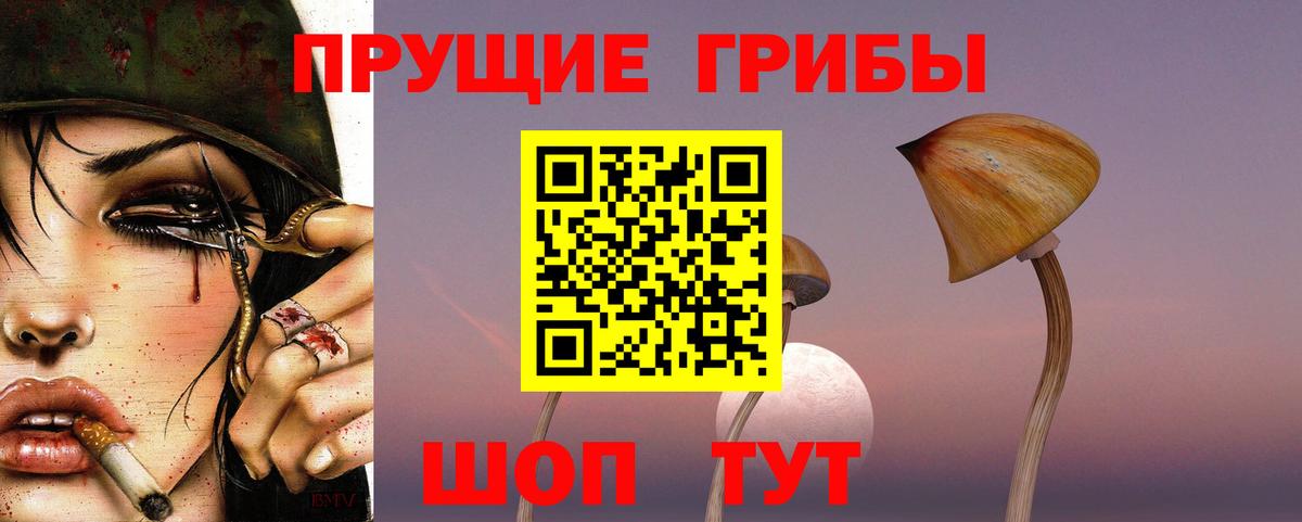 Старая Купавна  Псилоцибиновые грибы Magic Shrooms  цена   Вход с VPN 
